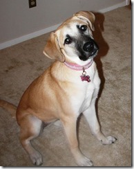 380560_2164051120051_60362527_n