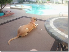 580855_3077261669744_427141048_n